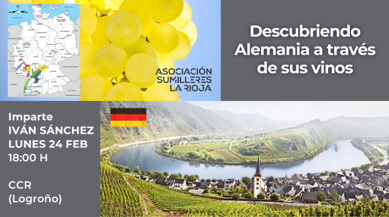 descubriendo-alemania-a-traves-de-sus-vinos